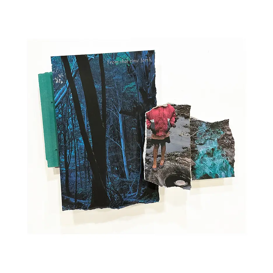 Torn paper fragments depicting a dark forest, a girl shown from neck down wearing a pink jacket hands in pockets and standing by a tire abandoned in a stream, and a chemically contaminated stream
